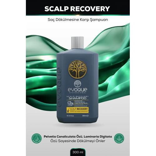 Scalp Recovery Saç Dökülmesine Karşı Şampuan 300ml