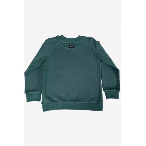 Erkek Çocuk Baskılı Yeşil Sweatshirt