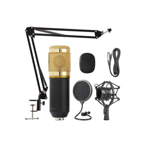 Fıx-800 Profesyonel Usb Stüdyo Youtuber Twitch Kayıt Stand Pop Filter Mikrofon Kiti-gold